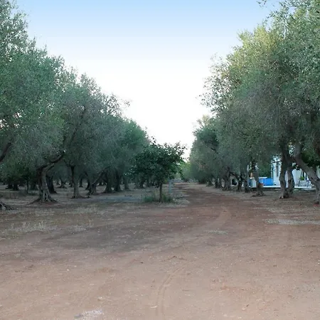 Salento Lu Trolitu *